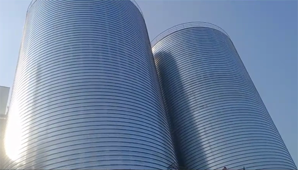 遂溪2座混凝土高架卷板仓