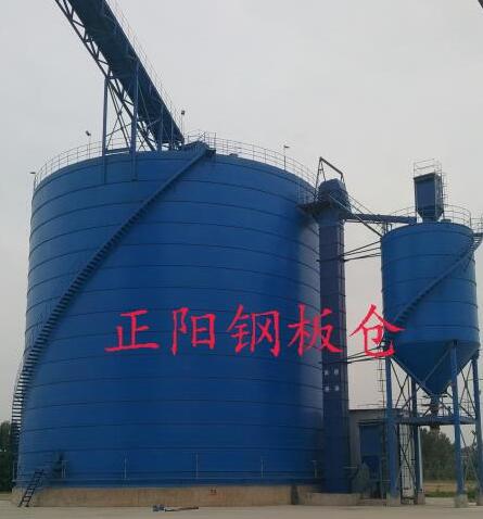 遂溪大型矿粉钢板库